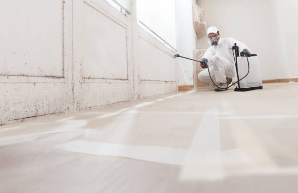 Post-remediation clearance in Westmont
